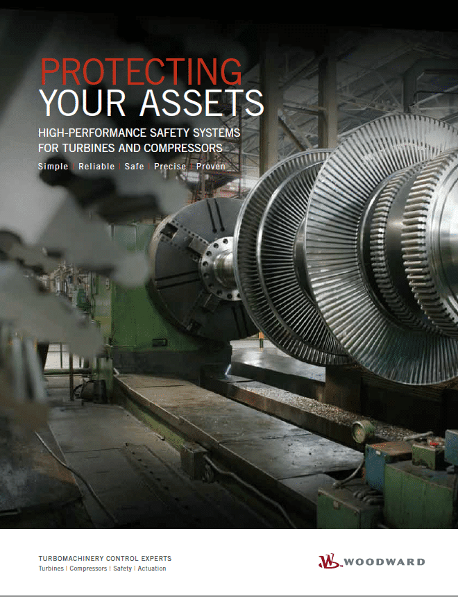 Protecting Your Assets Brochure